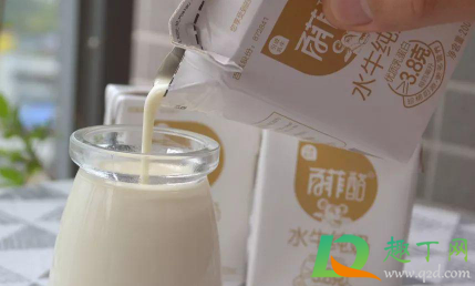 水牛奶和普通牛奶口感有啥区别(水牛奶有什么区别)