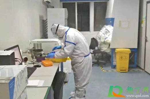 一次核酸检测阳性就是新冠吗(核酸检测测出阳性就是新冠吗)