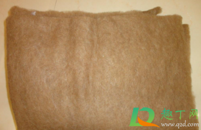 驼绒能水洗嘛(驼绒怎么洗能干净)