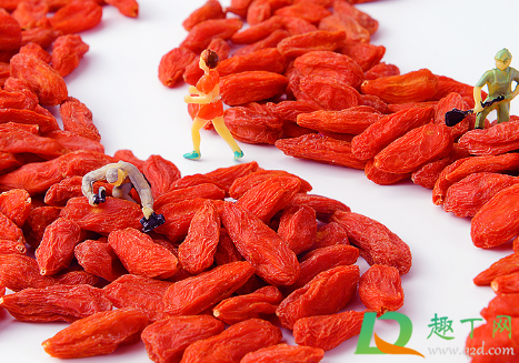 枸杞一天吃几颗最补肾(枸杞一天吃几颗最补肾壮阳)