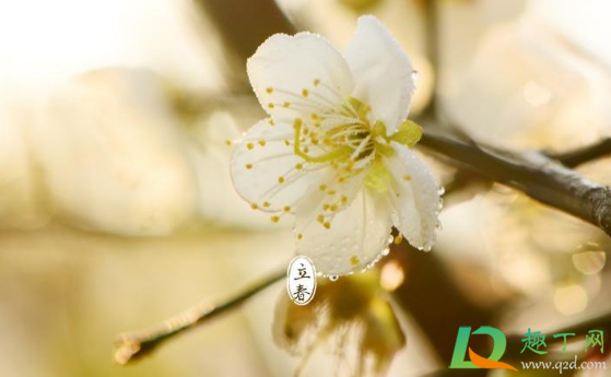 2021年打春几点几分几秒(2021年几时几分几秒打春)