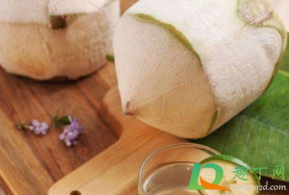 椰青的白肉可以生吃吗(椰青里面的椰肉可以生吃吗)