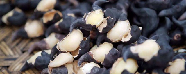 水煮菱角怎么做才好吃(煮菱角怎么煮才好吃)