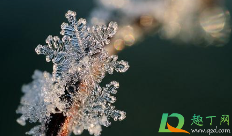 小寒是不是三九(三九是大寒还是小寒) 小寒是不是三九(三九是大寒还是小寒)