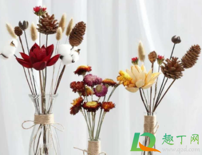 干花送人合适吗(送花送干花合适吗) 干花送人合适吗(送花送干花合适吗)