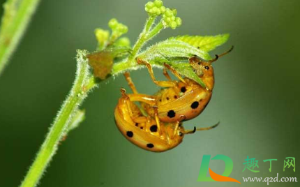 2021年惊蛰后天气还会冷么(2021年什么时候是惊蛰)