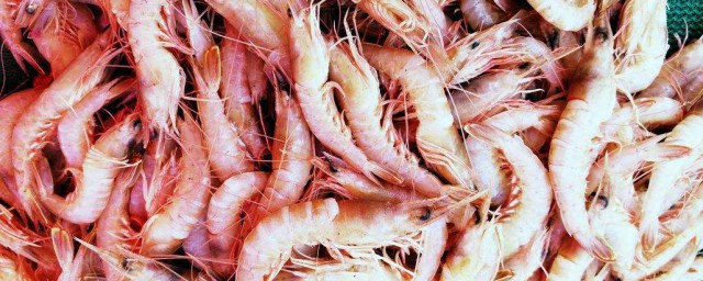 虾在运输过程中如何保鲜(虾保存新鲜的方法)