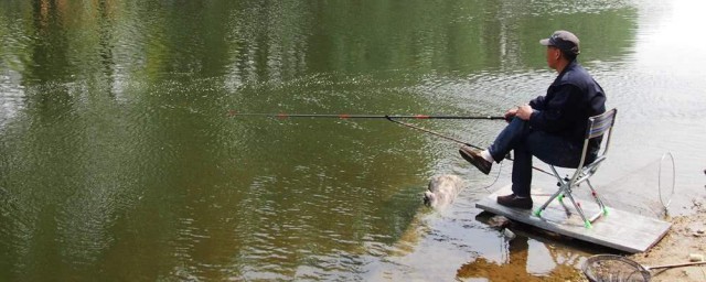 具体什么时间钓鱼好(钓鱼什么时间比较好)