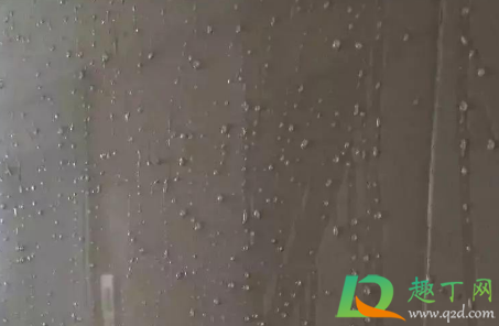 深圳有回南天吗(深圳回南天要注意什么)