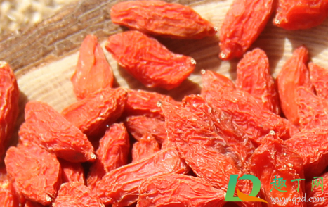 枸杞一天吃几颗最补肾(枸杞一天吃几颗最补肾壮阳) 枸杞一天吃几颗最补肾(枸杞一天吃几颗最补肾壮阳)