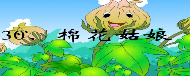 推荐以下几点建议(建议与推荐的区别)