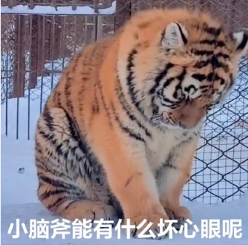 小狗勾能有什么坏心眼呢什么梗(小狗勾能有什么坏心呢表情) 小狗勾能有什么坏心眼呢什么梗(小狗勾能有什么坏心呢表情)