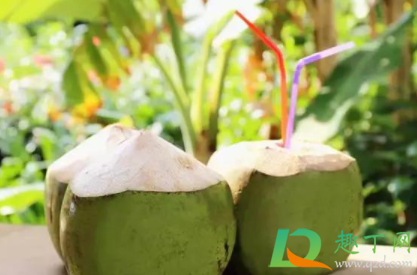 椰青的白肉可以生吃吗(椰青里面的椰肉可以生吃吗)
