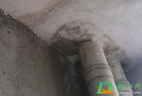 墙根渗水怎么找漏水点(墙根渗水怎么回事)