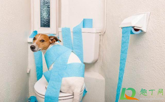 大便拉不出来拍三下什么地方能排便(大便拉不出来拍三下是什么原理)