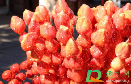 糖葫芦的糖弄到衣服上怎么洗掉(糖葫芦弄到毛衣上怎么弄掉)