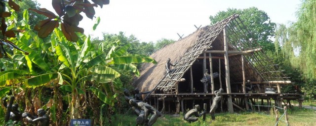 河姆渡人种植的农作物品种(河姆渡居民的农作物种植)