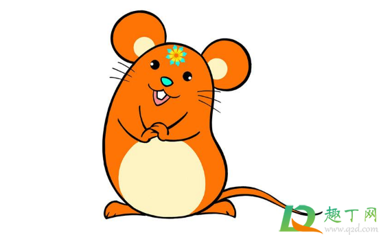 2021年2月属鼠还是属牛(2021年2月份生的孩子是属鼠还是属牛) 2021年2月属鼠还是属牛(2021年2月份生的孩子是属鼠还是属牛)