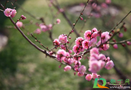 2021年2月几号打春(2021年2月几日打春)