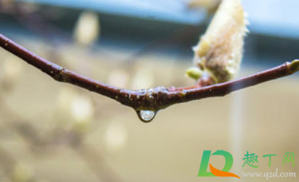 2021年雨水节气南方气温多少(2021年雨水节气具体时间)