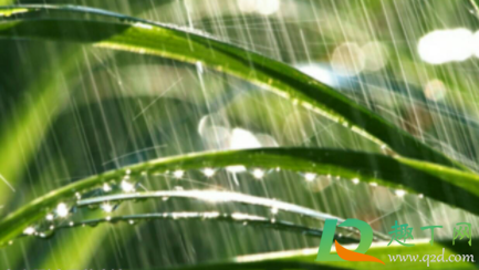 2021年雨水节气南方气温多少(2021年雨水节气具体时间)