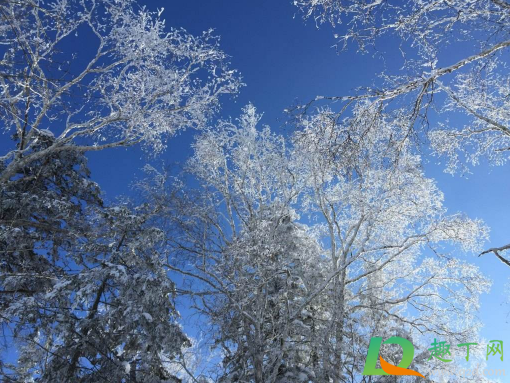 2021年三九天几月几号结束(2021年三九天从什么时候开始什么时候结束)