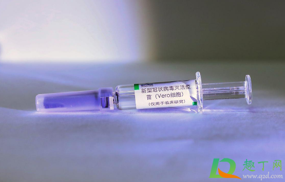 打了新冠疫苗可以打九价吗(打新冠疫苗了能打九价吗)