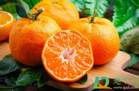 耙耙柑和沃苷哪个好吃(沃柑跟耙耙柑哪个更甜)