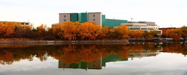 内蒙古大学的介绍(内蒙古大学的具体位置)