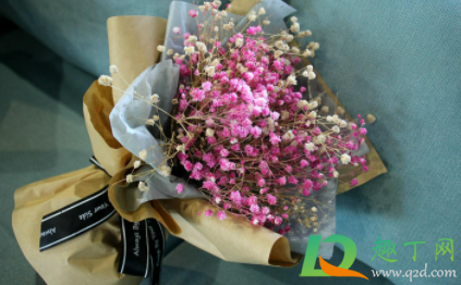 干花送人合适吗(送花送干花合适吗) 干花送人合适吗(送花送干花合适吗)