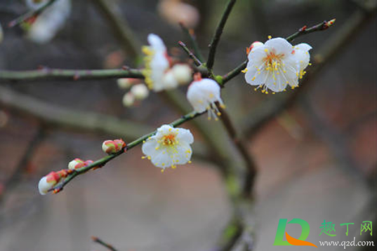 2021年打春几点几分几秒(2021年几时几分几秒打春)