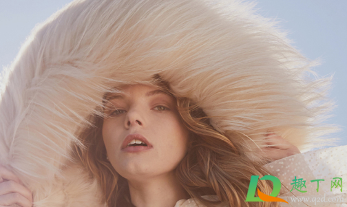 貉子毛什么颜色上档次(貉子毛哪种颜色最贵) 貉子毛什么颜色上档次(貉子毛哪种颜色最贵)