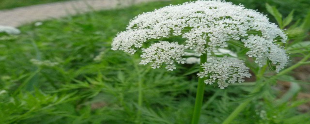 看这里详解(圆圆的笔记)