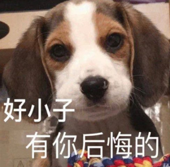 小狗勾能有什么坏心眼呢什么梗(小狗勾能有什么坏心呢表情) 小狗勾能有什么坏心眼呢什么梗(小狗勾能有什么坏心呢表情)