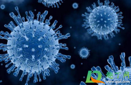 上海新冠疫苗预约公众号入口(上海新冠疫苗预约官方网站)