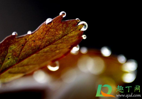 深圳2021年回南天什么时候(2021广东回南天是什么时候)