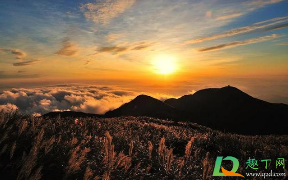 2021年是金木水火土中的什么年(2021年金木水火土是哪一个)