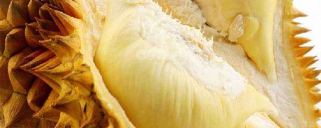 榴莲不能和什么一起吃(榴莲不能和什么一起吃有副作用)