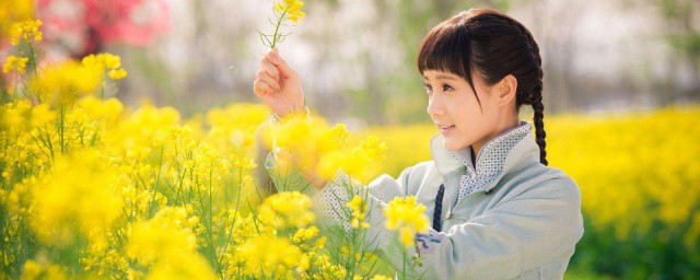 海棠经雨胭脂透最终结局是什么?(海棠经雨胭脂透最后海棠和谁在一起了)