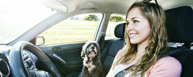 有这方面的具体规定吗(上面有规定)