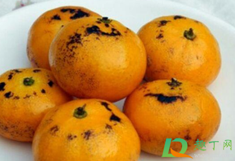 烤橘子治风寒还是风热咳嗽(烤橘子治风寒感冒吗) 烤橘子治风寒还是风热咳嗽(烤橘子治风寒感冒吗)