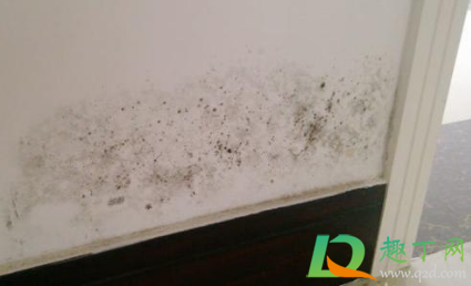 回南天墙壁发霉对人体有害吗(北卧室墙体发霉)
