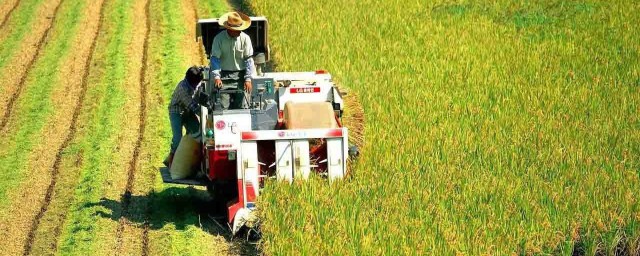 无地农民的问题究竟该怎么解决(没地的农民生活怎么解决)