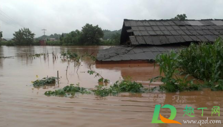 2021年是大旱还是大涝(2021年是干旱还是涝)