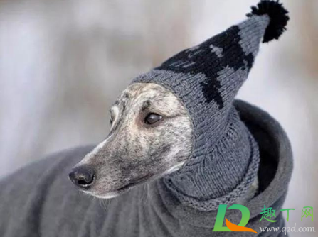 2021元旦哪些地区会大幅度降温(2021国庆节会降温吗) 2021元旦哪些地区会大幅度降温(2021国庆节会降温吗)