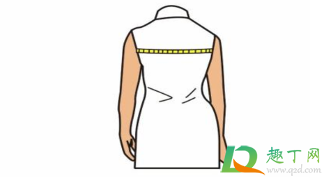 肩宽怎么量标准图(肩宽怎么量标准图从哪量)