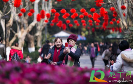 广西2021年春节冷不冷(今年广西冬天会冷吗2021) 广西2021年春节冷不冷(今年广西冬天会冷吗2021)