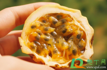 百香果皱巴巴的是坏了吗(百香果起皱了是不是坏了) 百香果皱巴巴的是坏了吗(百香果起皱了是不是坏了)