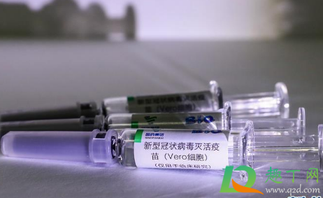 单位自愿打新冠疫苗打不打(单位强制让打新冠疫苗打不打)