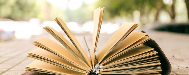 陈海山是哪部电视剧的人物(海山是哪部电视剧里的人物)